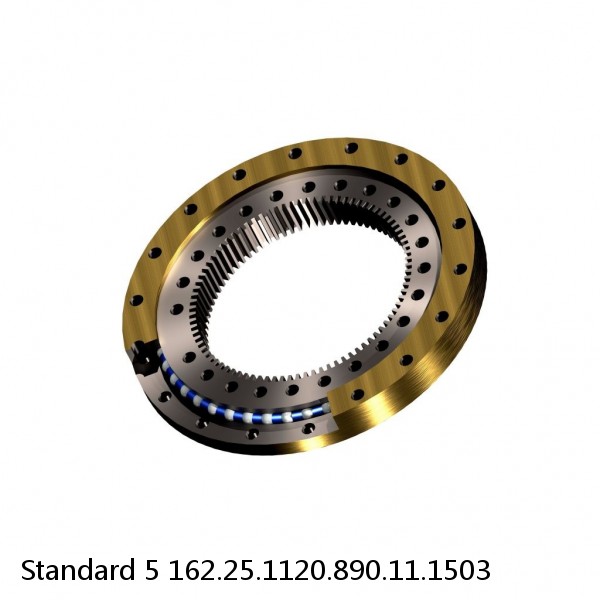 162.25.1120.890.11.1503 Standard 5 Slewing Ring Bearings #1 image