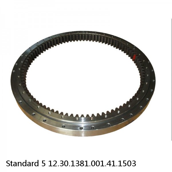 12.30.1381.001.41.1503 Standard 5 Slewing Ring Bearings #1 image