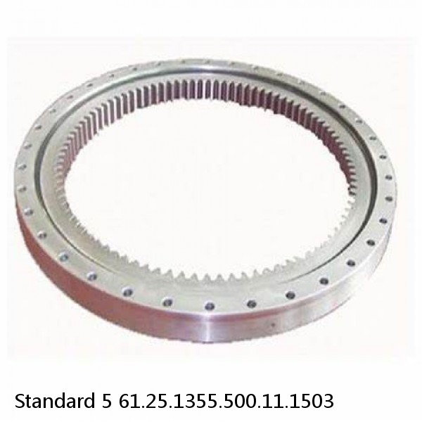 61.25.1355.500.11.1503 Standard 5 Slewing Ring Bearings #1 image