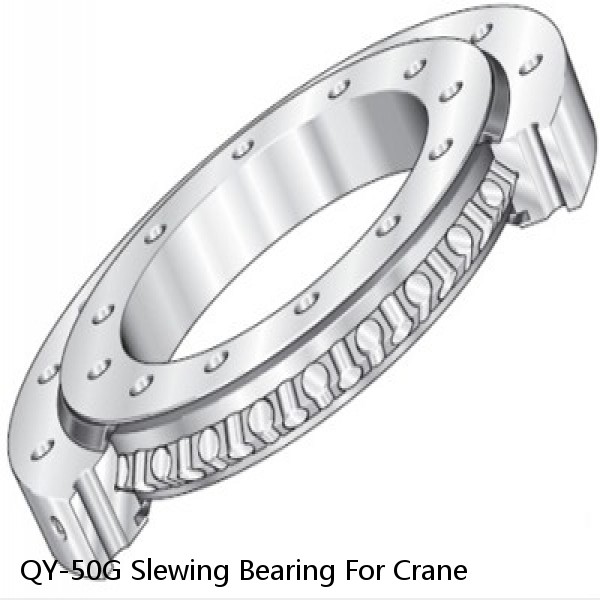 QY-50G Slewing Bearing For Crane #1 image