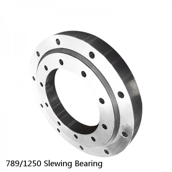 789/1250 Slewing Bearing #1 image