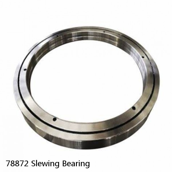 78872 Slewing Bearing #1 image