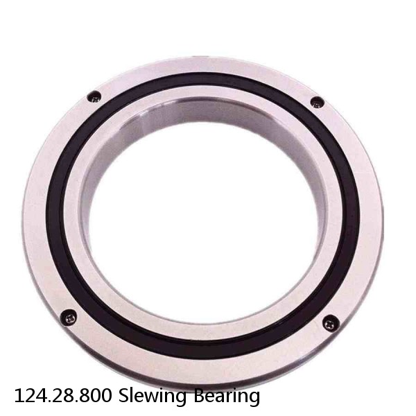 124.28.800 Slewing Bearing #1 image