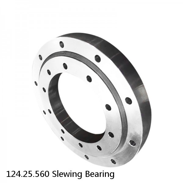 124.25.560 Slewing Bearing #1 image